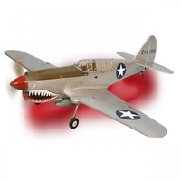 Phoenix Model P40 Kitty Hawk RC Plane, 15cc ARF