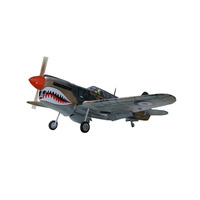 Phoenix Model P-40 Warhawk 30cc Carbon ARF PHN-PH216