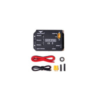 Phoenix Model Electric Retract Controller, R5202/R5206, suit Phoenix electric retracts