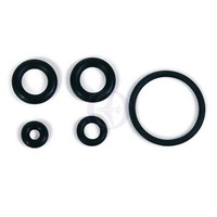 O Ring Set PRO-61