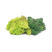 Lichen - Green Mix 35G R7194