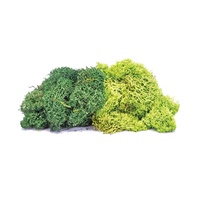 Lichen - Large Dark  Green Mix 75G R7195