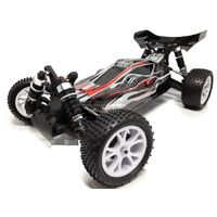 Spirit EBD Brushed RTR 4WD Buggy With Radio Battery And Charger RH-1016