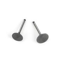 VALVE IN/OUT (PAIR) TO SUIT FG36 SAI3646