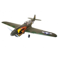 Seagull Model P-40N Warhawk RC Plane, 160 Size ARF