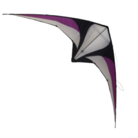 RAPTOR SPORTS KITE