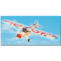 Super Cub 30cc ( wingspan 2.75 meters ) Austria version
