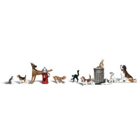 N DOGS & CATS