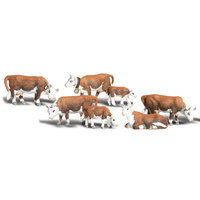 N HEREFORD COWS