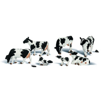 N HOLSTEIN COWS