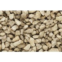COARSE BUFF TALUS
