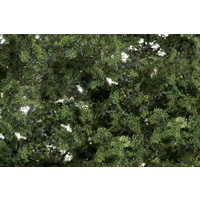 MEDIUM GREEN FINE LEAF FOLIAGE