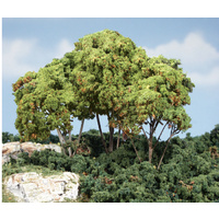 LIGHT GREEN FOREST CANOPY