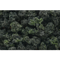 FOREST BLEND BUSHES