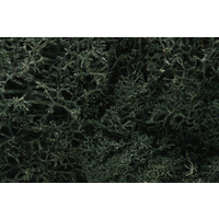 WOODLAND SCENICS DARK GREEN LICHEN L164