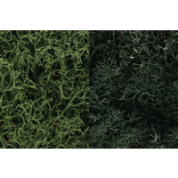DARK GREEN MIX LICHEN