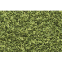 LT. GREEN COARSE TURF