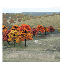 3/4In - 2In RM REAL FALL DECID 38/PK