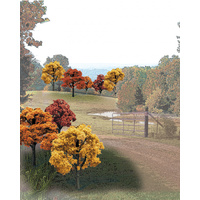 2In - 3In RM REAL FALL DECID 23/PK
