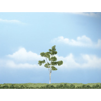 4In PREM PAPER BIRCH 1/PK