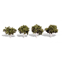 2In - 3In WATERS EDGE 4/PK