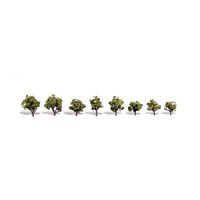 3/4In - 1 1/4 EARLY LIGHT 8/PK