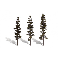 6In - 7In STANDING TIMBER 3/PK