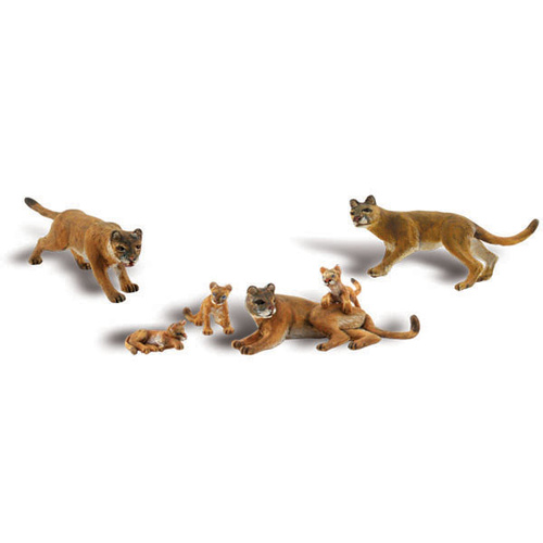 HO COUGARS AND CUBS